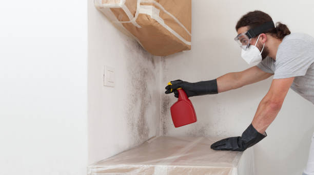 Professional Bathroom Mold Removal technician working in Salisbury, NC