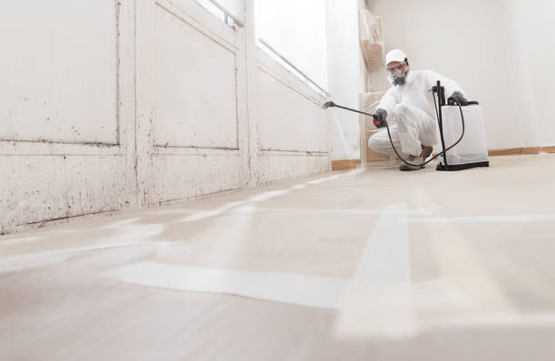 24/7 Emergency Bathroom Mold Removal experts in Salisbury, NC