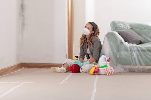 Reliable Bathroom Mold Removal contractor in Salisbury, NC by Mold Remediation HQ