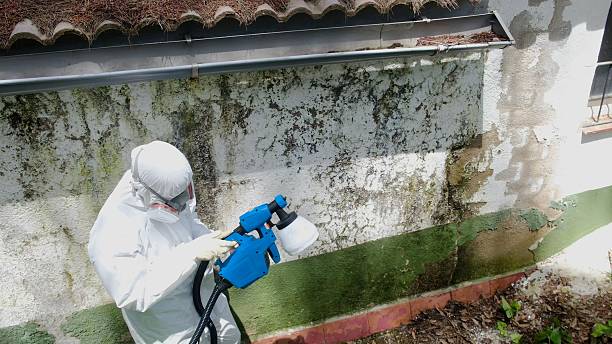 Top rated local Bathroom Mold Removal specialists in Salisbury, NC